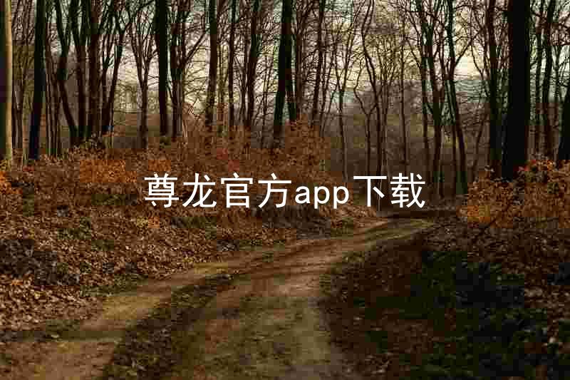 尊龙官方app下载
