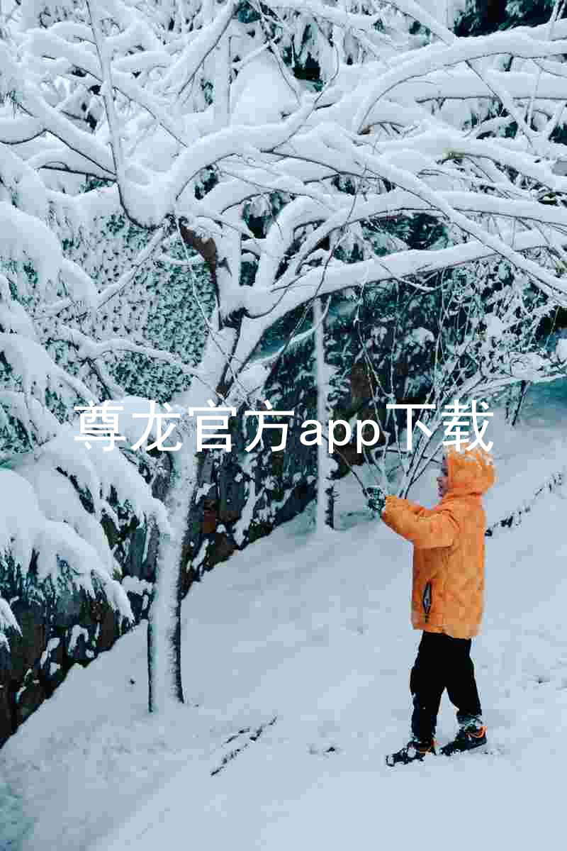 尊龙官方app下载