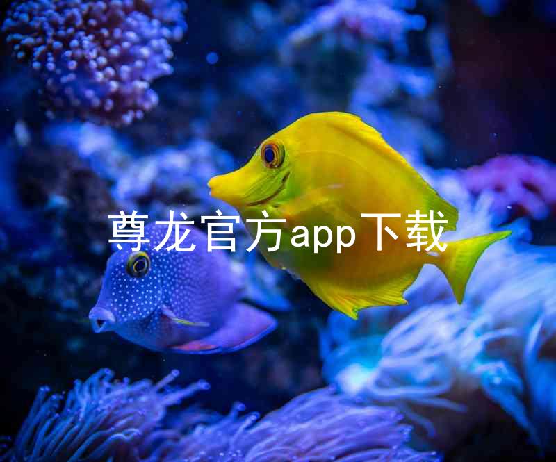 尊龙官方app下载