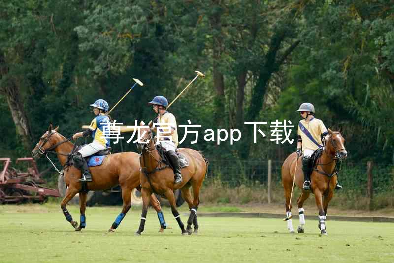 尊龙官方app下载